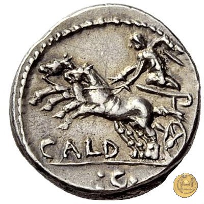 318/1 - denario C. Coelius C.f.C.n. Caldus 104 BC (Roma)