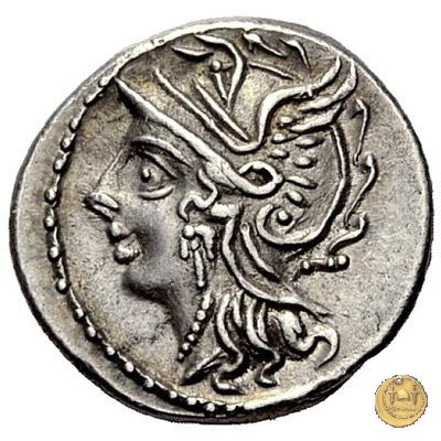 318/1 - denario C. Coelius C.f.C.n. Caldus 104 BC (Roma)