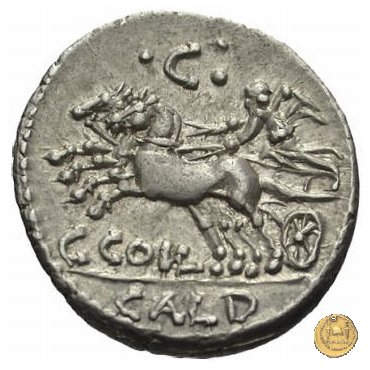 318/1 - denario C. Coelius C.f.C.n. Caldus 104 BC (Roma)