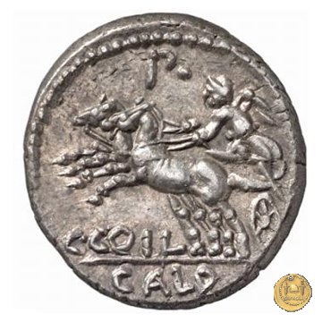 318/1 - denario C. Coelius C.f.C.n. Caldus 104 BC (Roma)