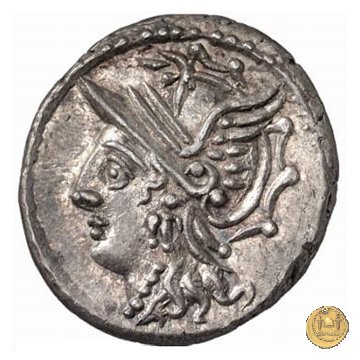 318/1 - denario C. Coelius C.f.C.n. Caldus 104 BC (Roma)