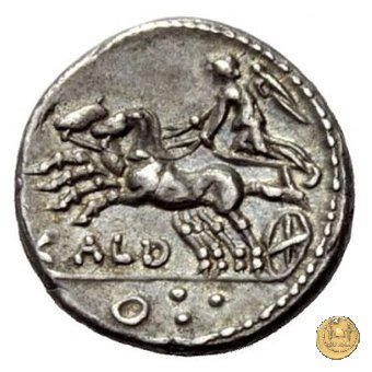 318/1 - denario C. Coelius C.f.C.n. Caldus 104 BC (Roma)