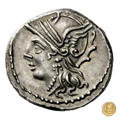 318/1 - denario C. Coelius C.f.C.n. Caldus 104 BC (Roma)