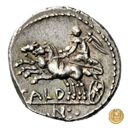 318/1 - denario C. Coelius C.f.C.n. Caldus 104 BC (Roma)