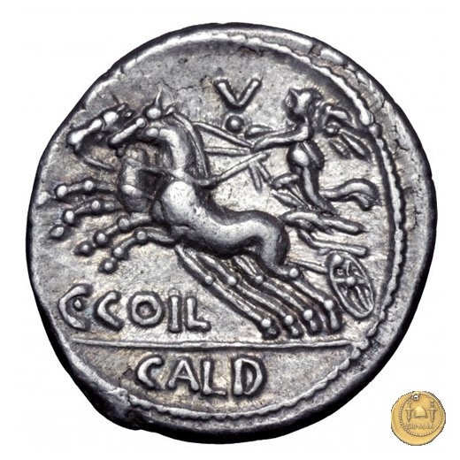 318/1 - denario C. Coelius C.f.C.n. Caldus 104 BC (Roma)