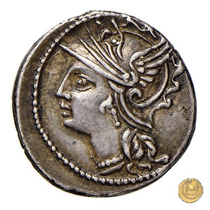 318/1 - denario C. Coelius C.f.C.n. Caldus 104 BC (Roma)