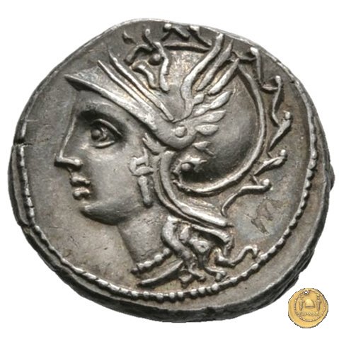 318/1 - denario C. Coelius C.f.C.n. Caldus 104 BC (Roma)