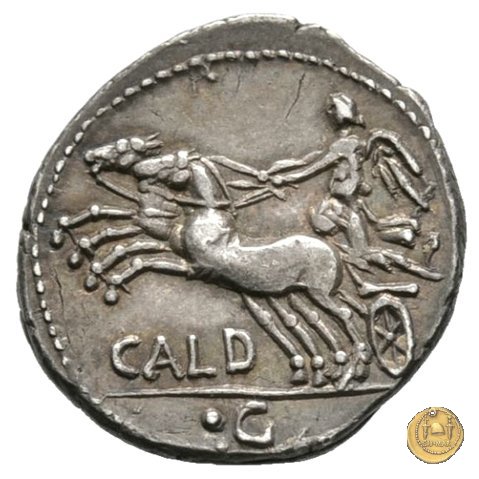 318/1 - denario C. Coelius C.f.C.n. Caldus 104 BC (Roma)