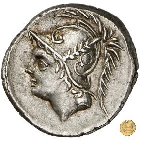 319/1 - denario Q. Minucius M.f. Thermus 103 BC (Roma)