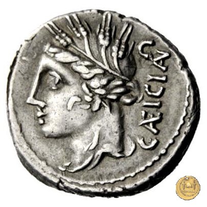 321/1 - denario L. Cassius Caecianus 102 BC (Roma)