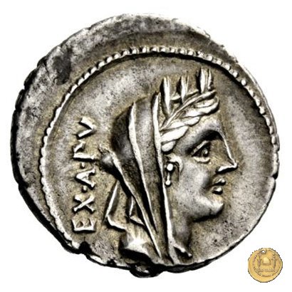 322/1 - denario C. Fabius C.f. Hadrianus 102 BC (Roma)