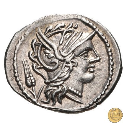 323/1 - denario L. Iulius 101 BC (Roma)