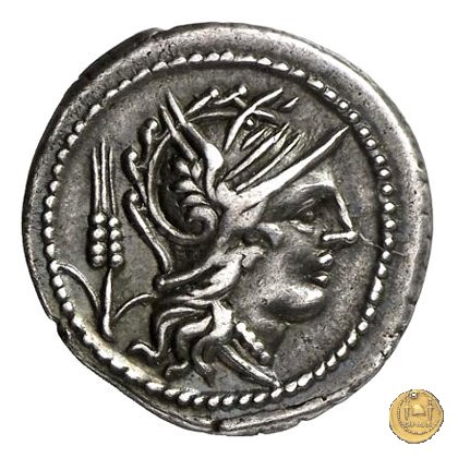 323/1 - denario L. Iulius 101 a.C. (Roma)