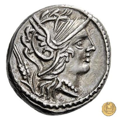 323/1 - denario L. Iulius 101 BC (Roma)