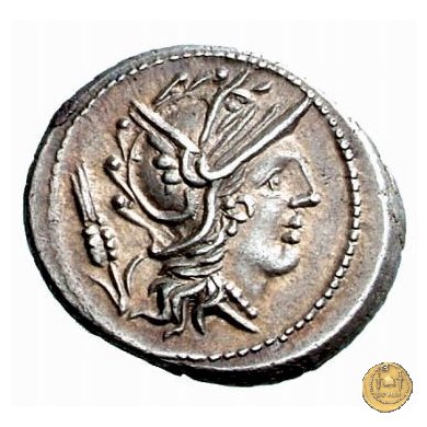 323/1 - denario L. Iulius 101 BC (Roma)