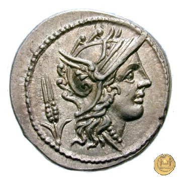 323/1 - denario L. Iulius 101 BC (Roma)