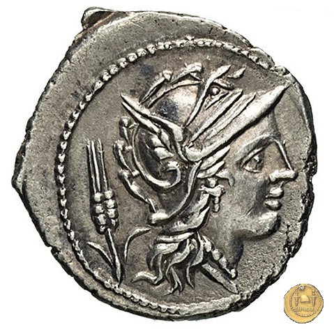 323/1 - denario L. Iulius 101 BC (Roma)