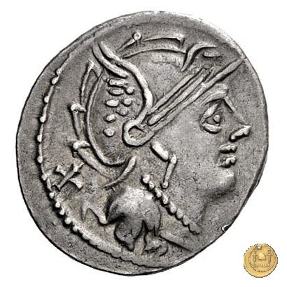 327/1 - denario M. Servilius C.f. 100 BC (Roma)