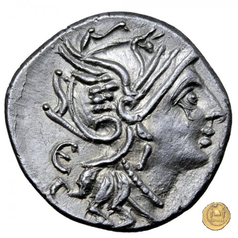 327/1 - denario M. Servilius C.f. 100 BC (Roma)