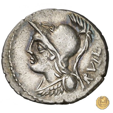 328/1 - denario P. Servilius M.f. Rullus 100 BC (Roma)