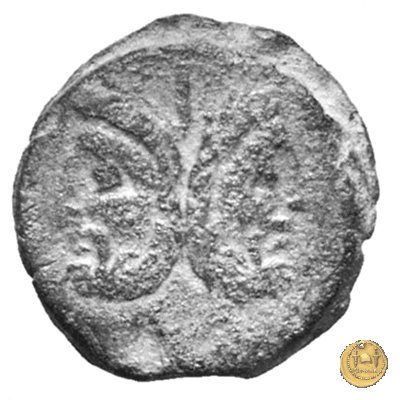 329/2 - asse P. Cornelius Lentulus Marcelli f. 100 a.C. (Roma)