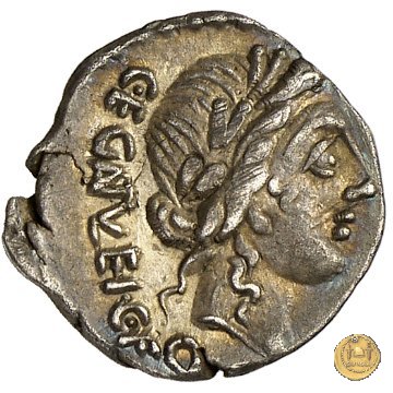 333/1 - quinario C. Egnatuleius C.f. 97 BC (Roma)