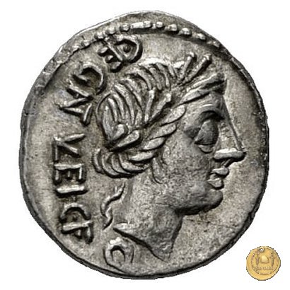 333/1 - quinario C. Egnatuleius C.f. 97 BC (Roma)