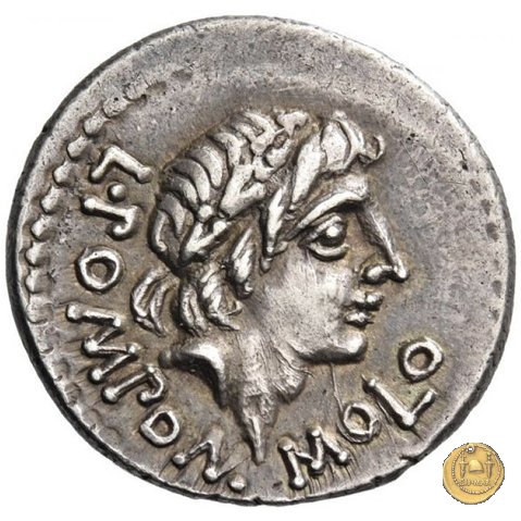334/1 - denario L. Pomponius Molo 97 BC (Roma)