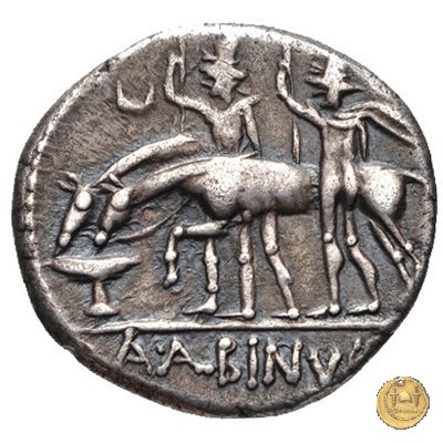 335/10 - denario A. Postumius Sp.f. Albinus 96-92 a.C. (Roma)