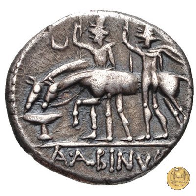 335/10 - denario A. Postumius Sp.f. Albinus 96-92 BC (Roma)