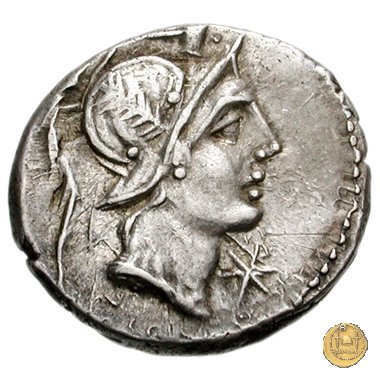 335/3 - denario C. Publicius Malleolus C.f. 96-92 BC (Roma)