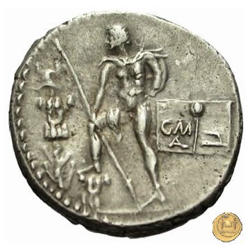 335/3 - denario C. Publicius Malleolus C.f. 96-92 BC (Roma)