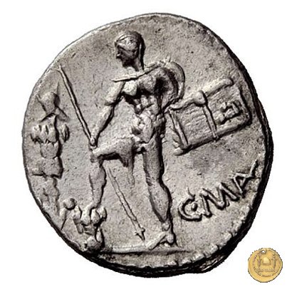 335/3 - denario C. Publicius Malleolus C.f. 96-92 BC (Roma)