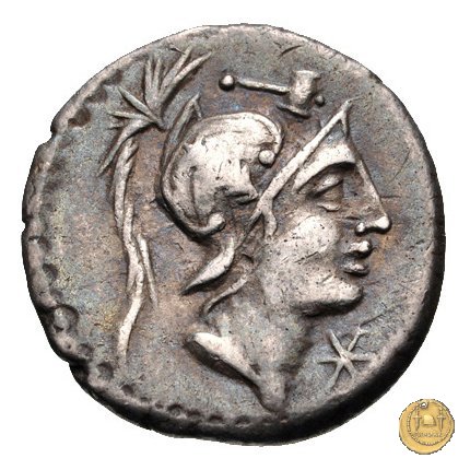 335/3 - denario C. Publicius Malleolus C.f. 96-92 BC (Roma)