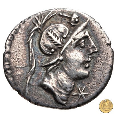 335/3 - denario C. Publicius Malleolus C.f. 96-92 BC (Roma)