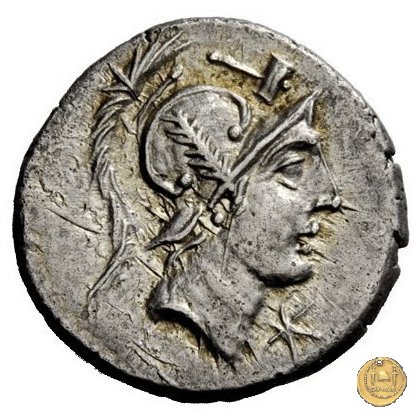 335/3 - denario C. Publicius Malleolus C.f. 96-92 BC (Roma)