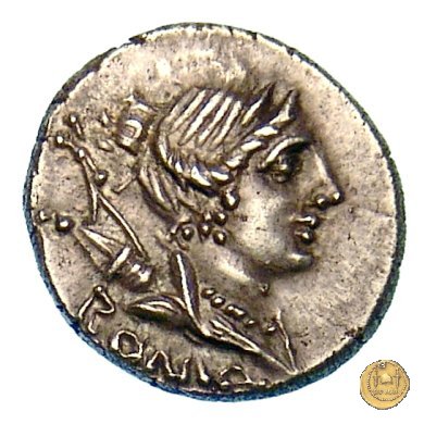 335/9 - denario A. Postumius Sp.f. Albinus 96-92 BC (Roma)