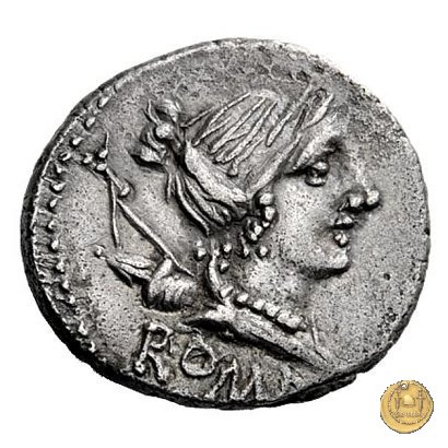 335/9 - denario A. Postumius Sp.f. Albinus 96-92 BC (Roma)