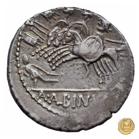 335/9 - denario A. Postumius Sp.f. Albinus 96-92 BC (Roma)