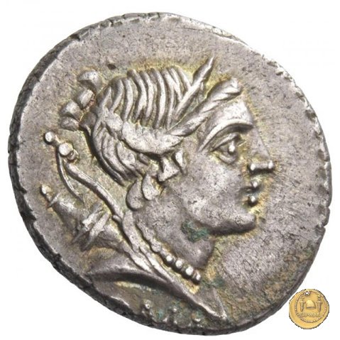 335/9 - denario A. Postumius Sp.f. Albinus 96-92 BC (Roma)