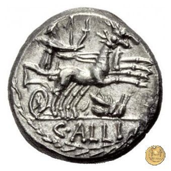 336/1 - denario C. Allius Bala 92 BC (Roma)