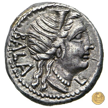 336/1 - denario C. Allius Bala 92 BC (Roma)