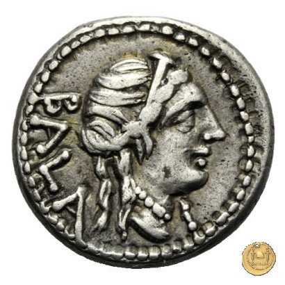 336/1 - denario C. Allius Bala 92 BC (Roma)