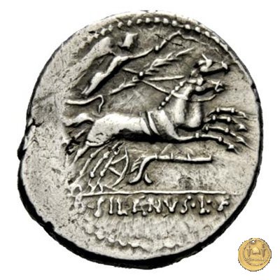 337/1 - denario D. Iunius L.f. Silanus 91 BC (Roma)