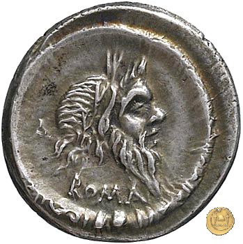 337/1 - denario D. Iunius L.f. Silanus 91 BC (Roma)