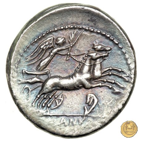 337/2 - denario D. Iunius L.f. Silanus 91 BC (Roma)