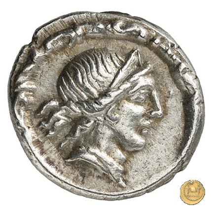 337/2 - denario D. Iunius L.f. Silanus 91 BC (Roma)