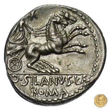 337/3 - denario D. Iunius L.f. Silanus 91 BC (Roma)