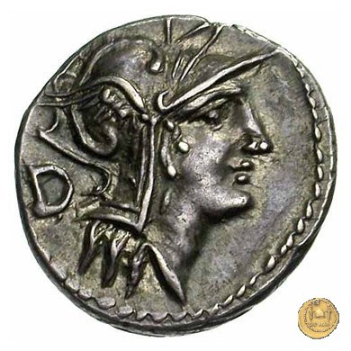 337/3 - denario D. Iunius L.f. Silanus 91 BC (Roma)