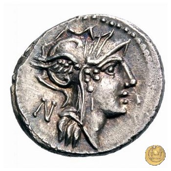 337/3 - denario D. Iunius L.f. Silanus 91 BC (Roma)